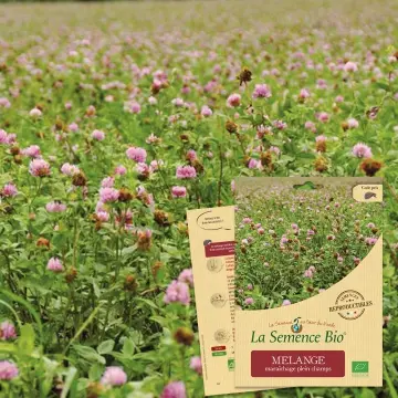 Graine : Mélange maraîchage plein champs 