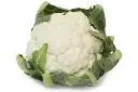 Chou fleur 