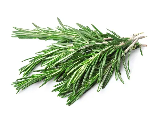 Romarin frais : Lauradis